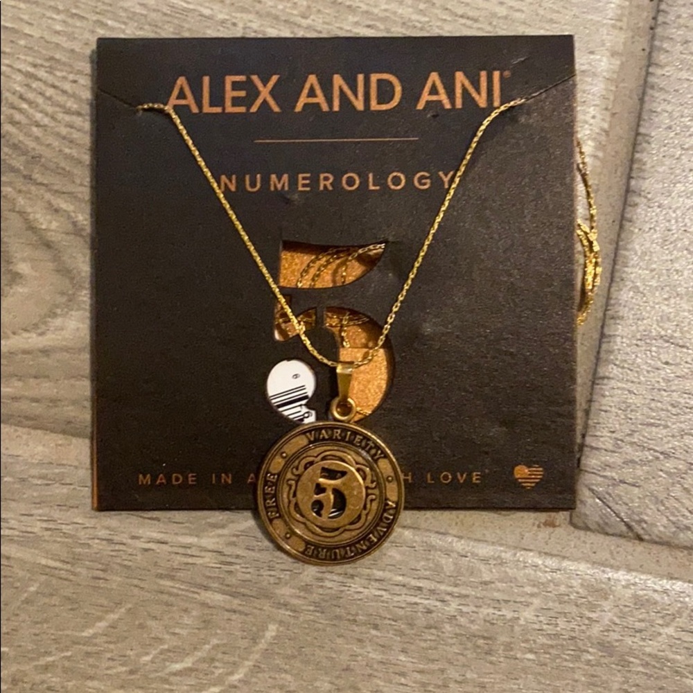 Alex and Ani Numerology Necklace Number 5